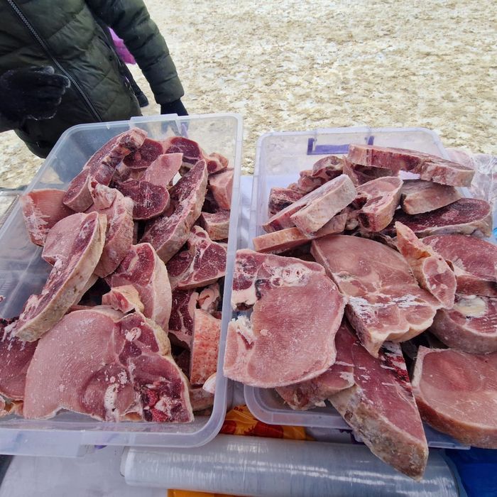 Продам домашнее мясо индейки