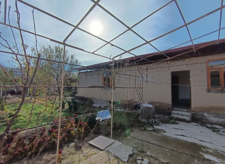 8 соток Онкоргон Селекция Сельхоз