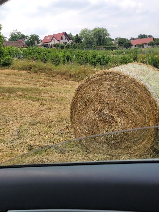 Băloți rotunzi de fân