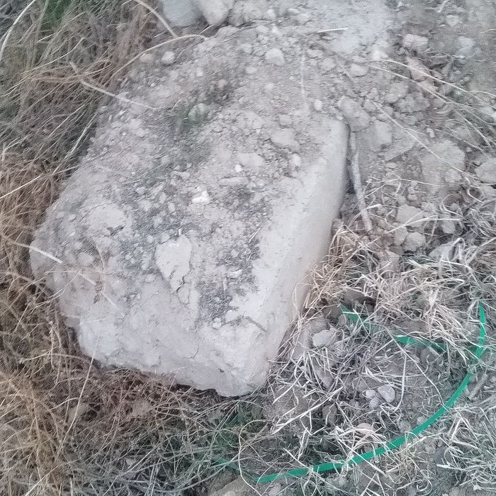 Блужник бетондар