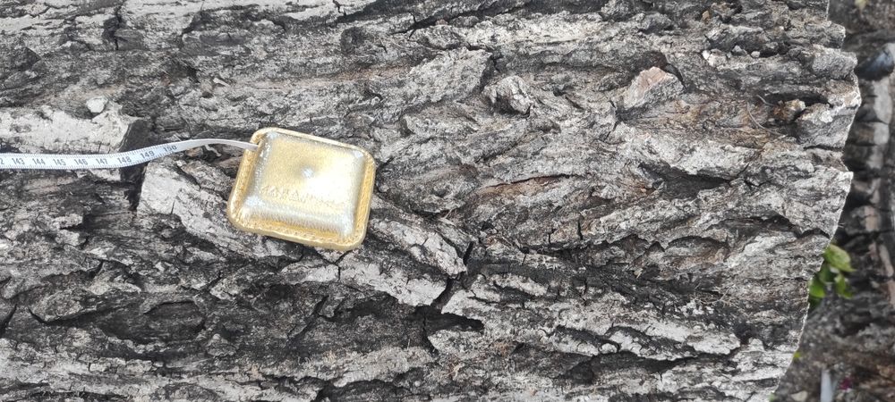 Продавам орех - дървесина / дървен материал