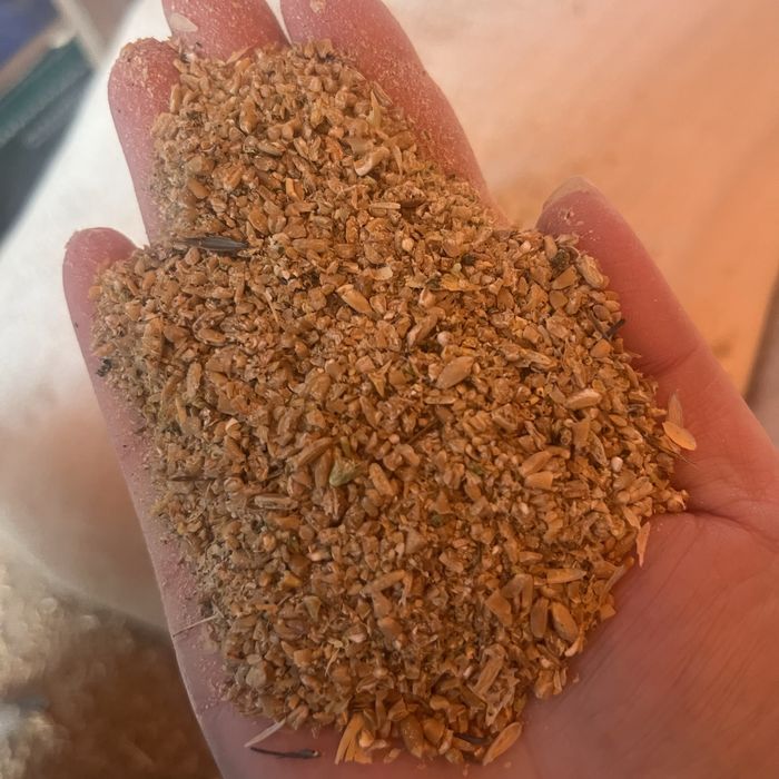 Зерноотход, отруби, кебек