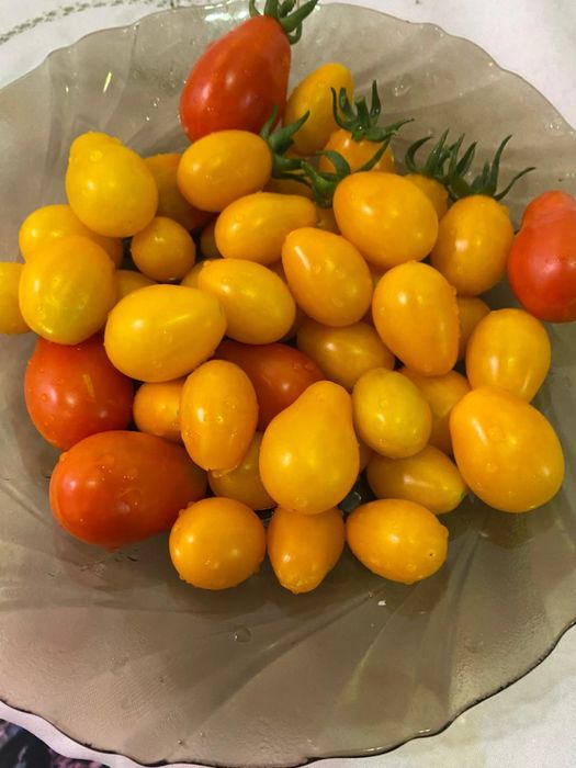 чери вкусные 600 тг