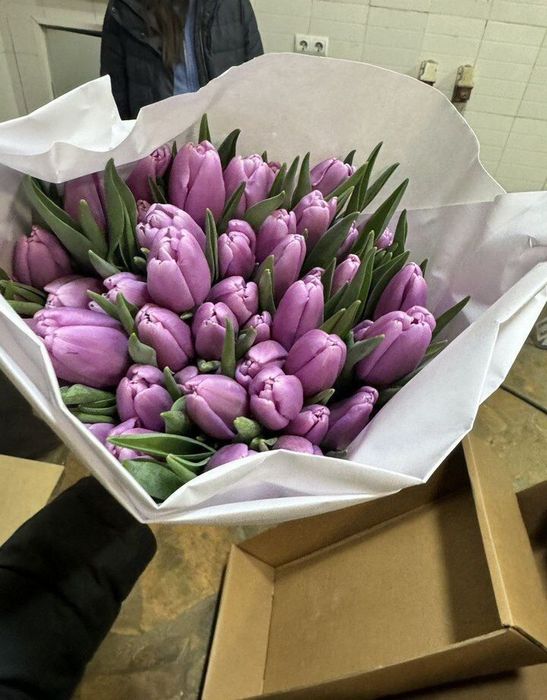 Тюльпаны оптом 750 и в розницу 850