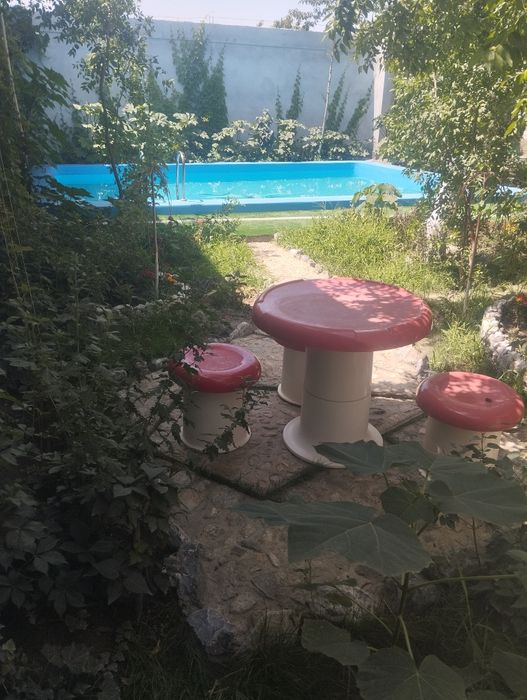 Dacha toza havoga ijaraga beriladi