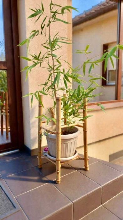 Araci/pari de bambus
