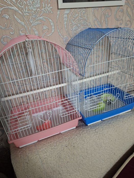 Продам птичек и клетки