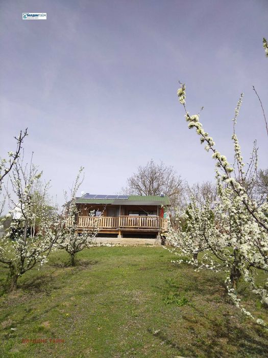 Продавам сливова градина 60 дка с био сертификат