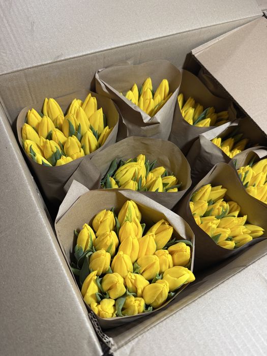 Тюлпаны на 8 марта