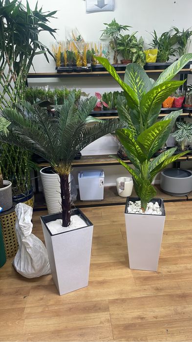 Искуственные растении