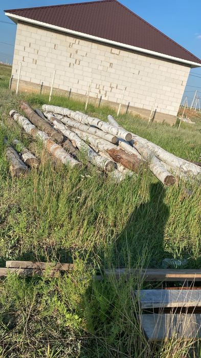 Деловой лес , бревна