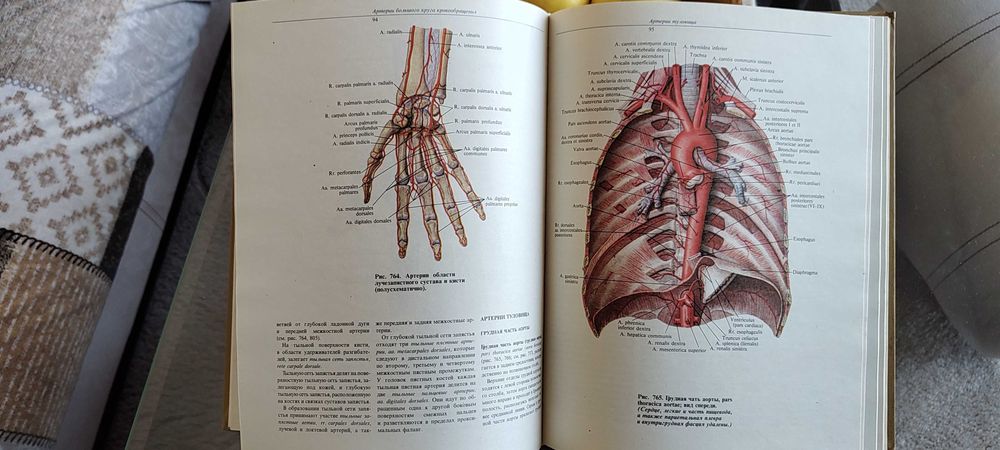 Атлас по анатомияна човека Синельникови 1,2 и 3 том