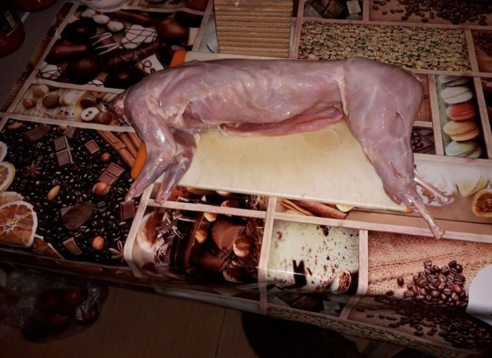 Мясо домашнего кролика