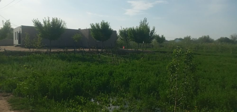 Uy sotiladi narxi kelishiladi !!!