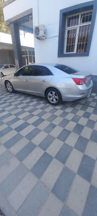 Malibu 1 2012 1 pazitsiya