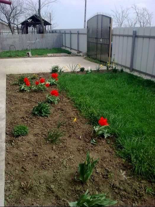 Casă de vânzare sau schimb cu apartament 2 camere Brăila