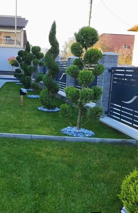 Amenajări grădini/plante ornamentale/cascade