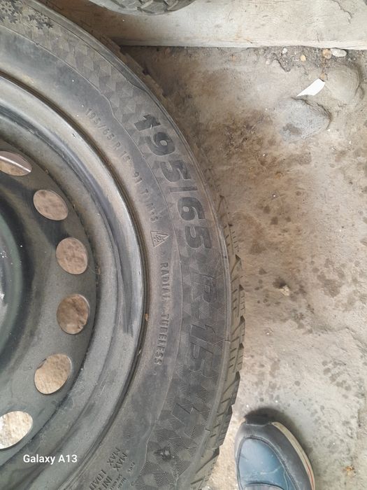 Зимни ризин с титанкои