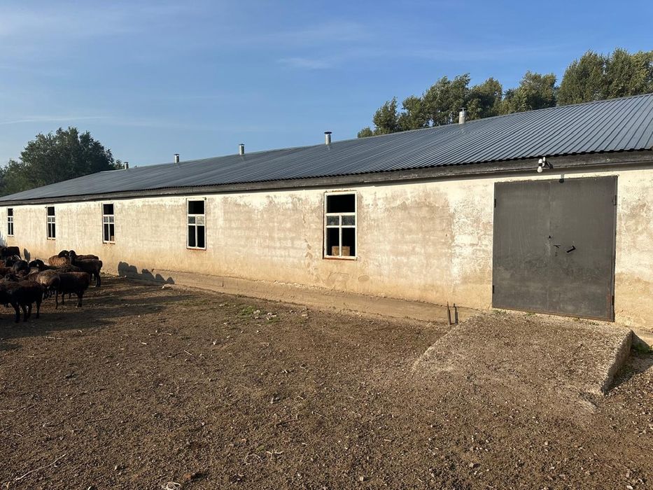 Продам откормочную базу