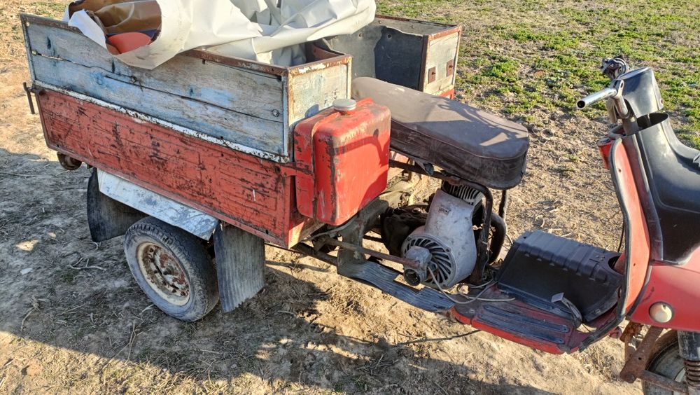 Продам два муравей