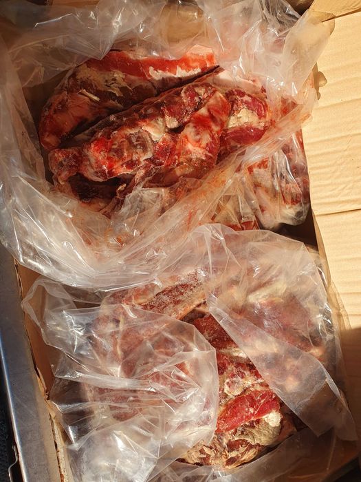 Месо  за  Кучета