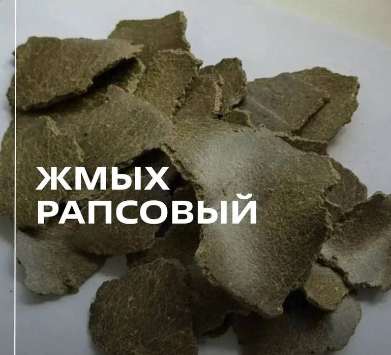 Рапсовый жмых ,рапс, рапса