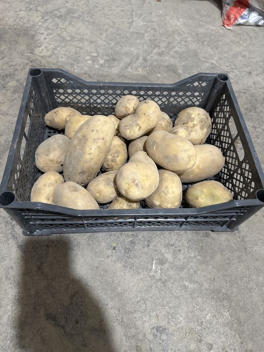 Саватча полиз экинлари ва бошка нарсалар учун ишлатса булади