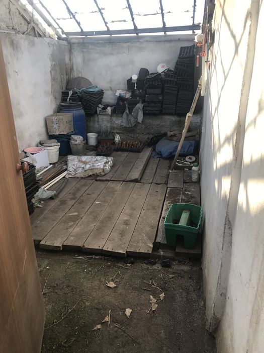 Теплица / тепличный комплекс