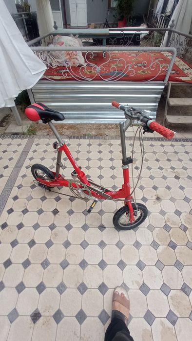 Velik sotiladi yaponskiy