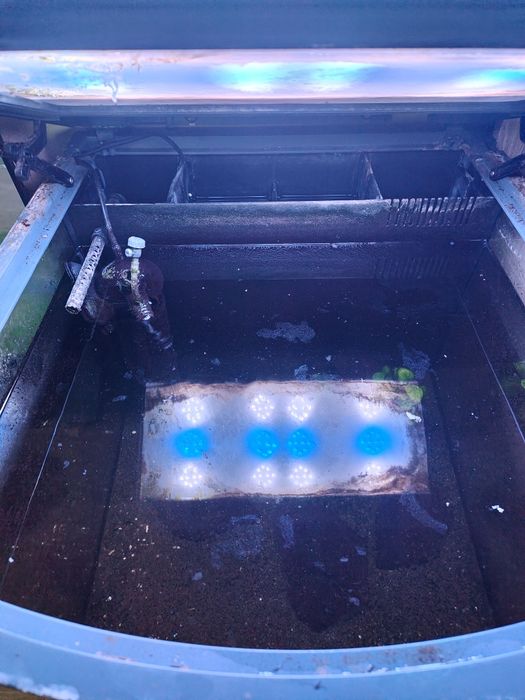 Сера биотоп 130. Диод!