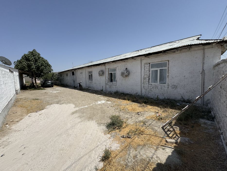 arzon narxda ferma sotiladi samarqand yangi ariqda