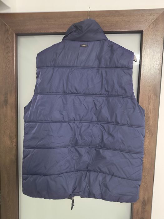 Vesta matlasata barbati