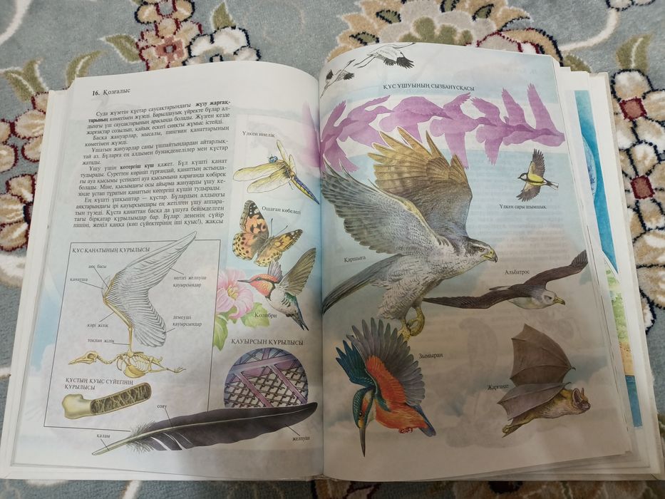 Биология 6 сынып оқулық