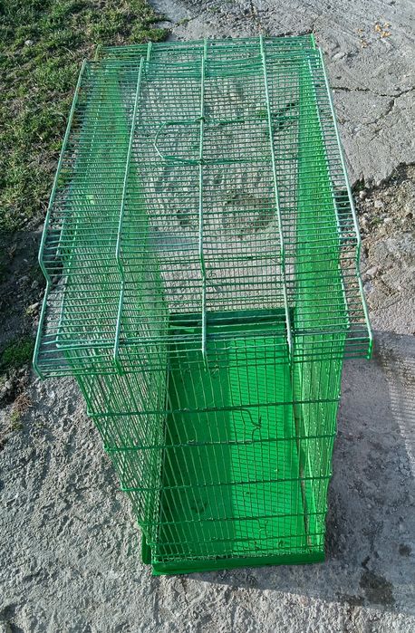 Colivie pentru papagali