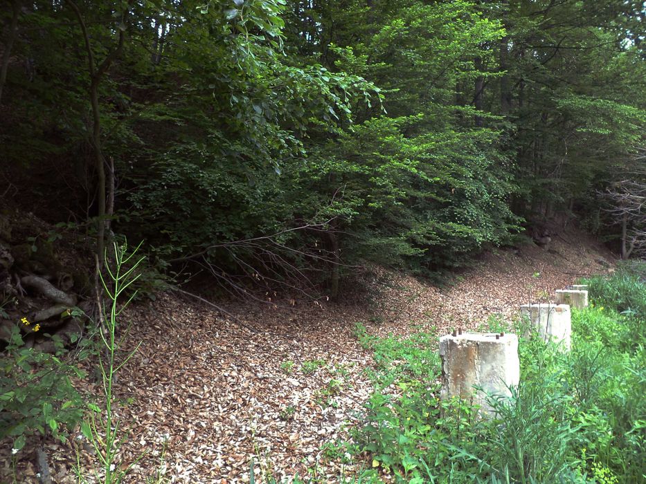 Продава се Къща в с. Бойновци, Област Габрово - 500 кв.м за 37 €/кв.м - Снимка #8