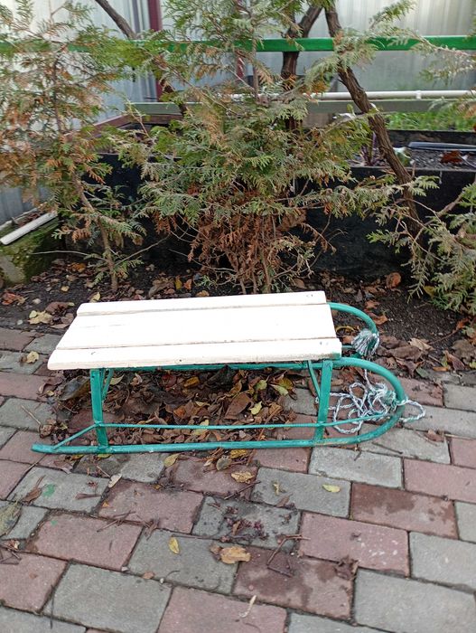 Saniuta pentru copii