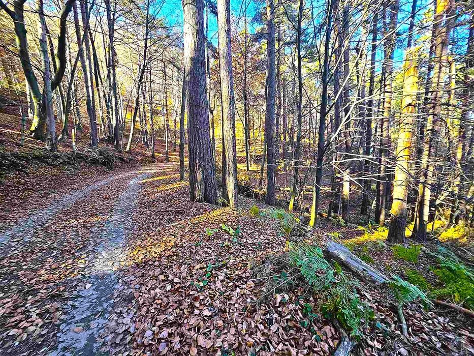 Земеделска земя 1 757 кв.м до последните къщи на Бойково – местност Ф