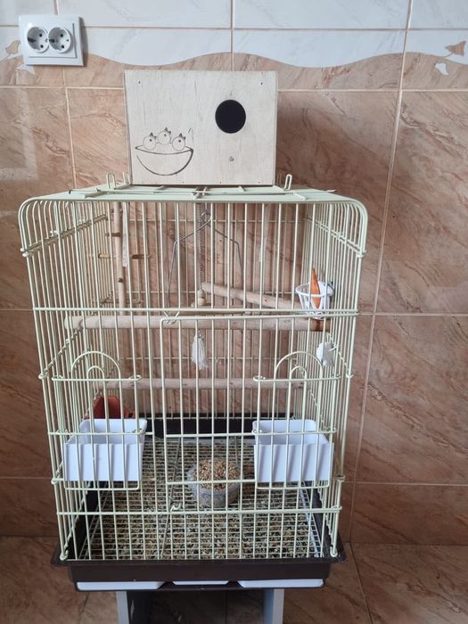 Vând cușcă / colivie papagali / păsări