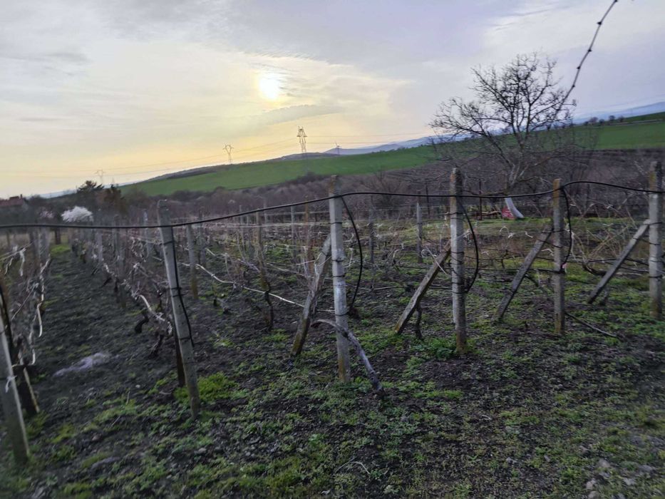 Продава се Къща в Бургас, Банево - 40 кв.м за 957 €/кв.м - Снимка #3