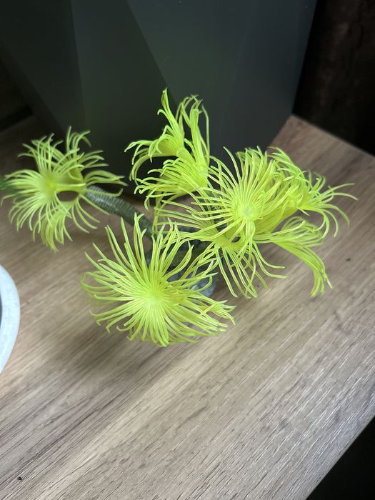 Продам декор в аквариум