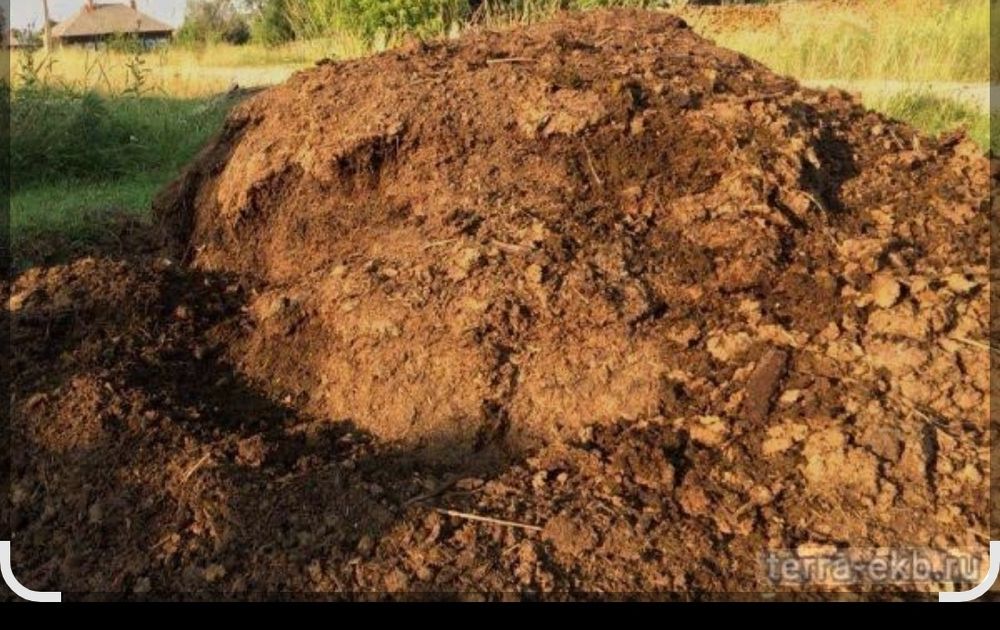 Продам перегной САМОВЫВОЗ