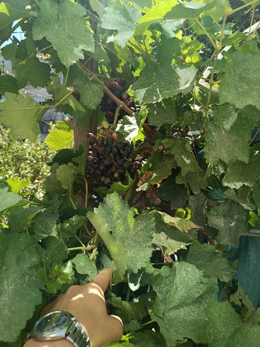 Продаётся квартира 23 мкр , дом 1/4 , совсеми удобствами .