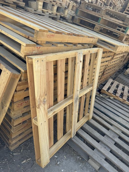 Поддон паддон paddon poddon асартимент