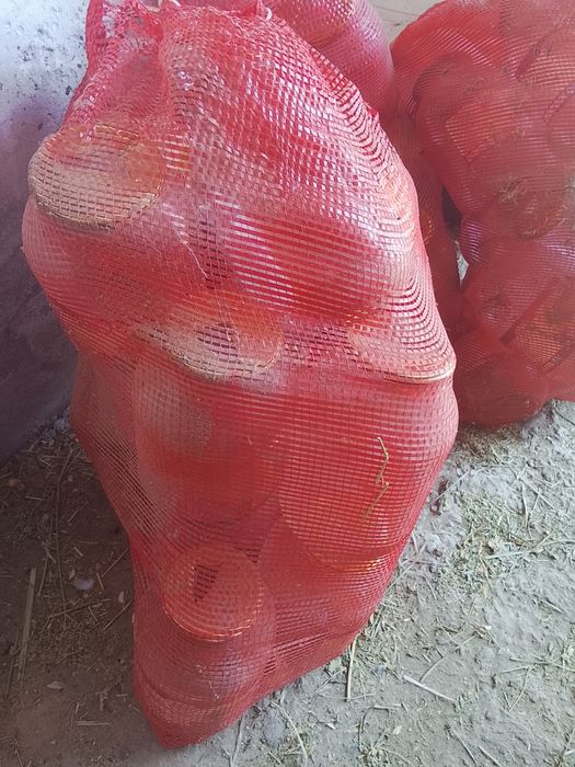 Продам банки двух литровые