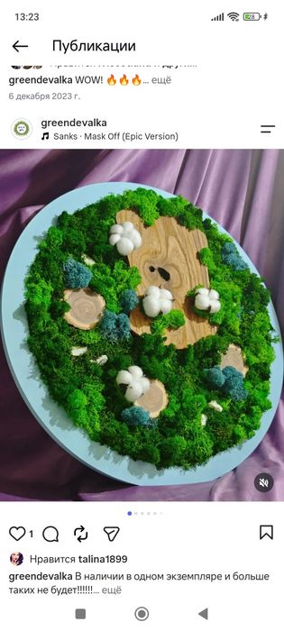 Картина из стабилизированного мха
