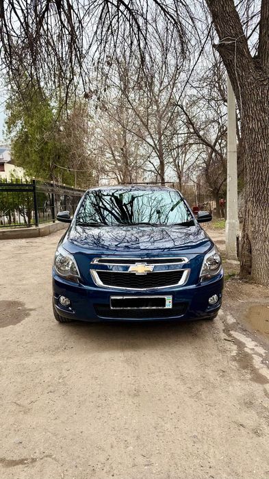 Cobalt 2025 midnight