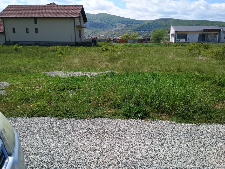 Intravilan de vanzare