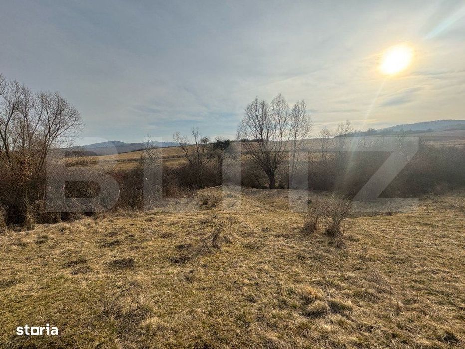 Oportunitate de investitie, teren extravilan, 11200 mp, zona VALEA MAG