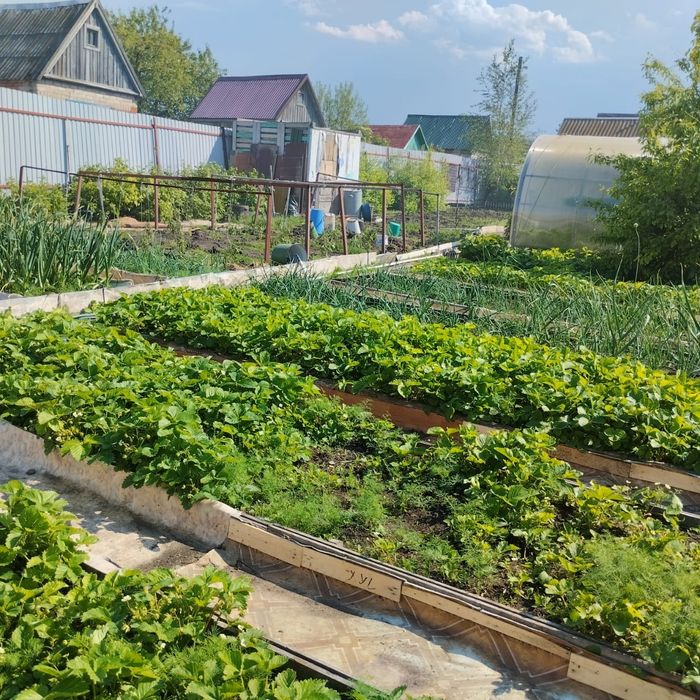 Продам отличную дачу