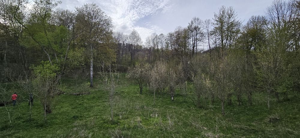 Vand teren Provita de Sus